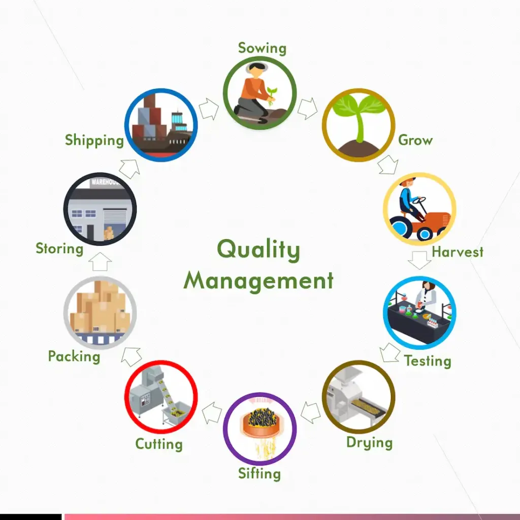 egypt heil herbs co quality management