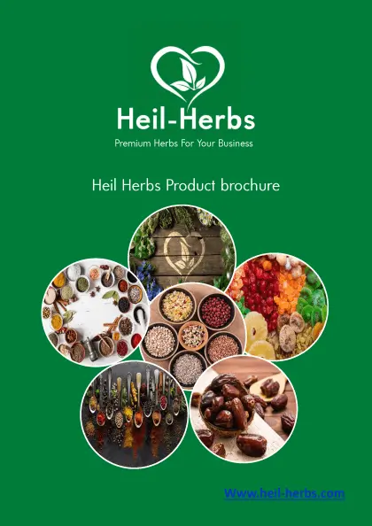 Egypt organic herbs and spices products brochure